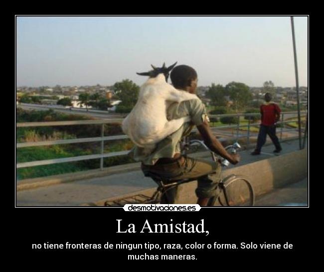 carteles amistad amistad raza animal forma union raro africa desmotivaciones