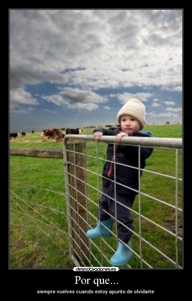 carteles 456 desmotivaciones