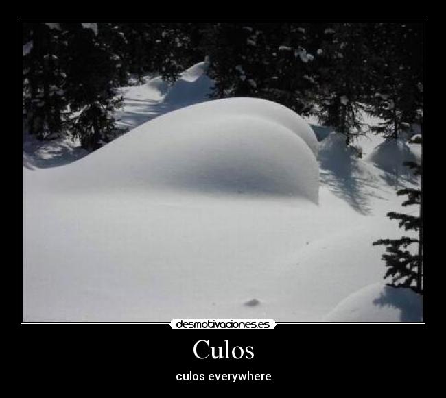 Culos - 
