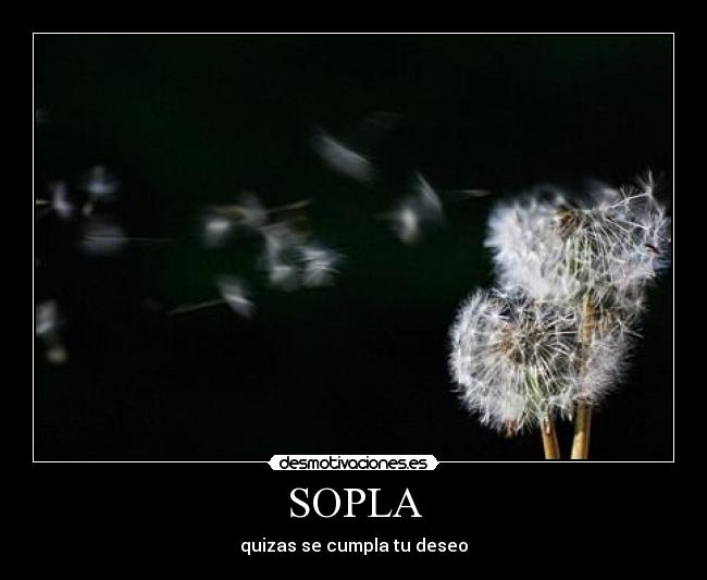 SOPLA - quizas se cumpla tu deseo