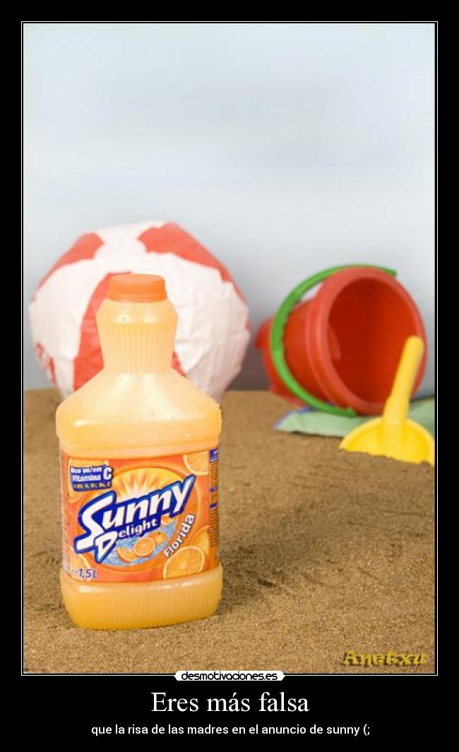 carteles sunnymadresfalsas desmotivaciones