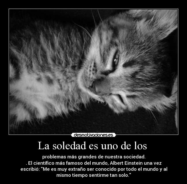 La soledad es uno de los -