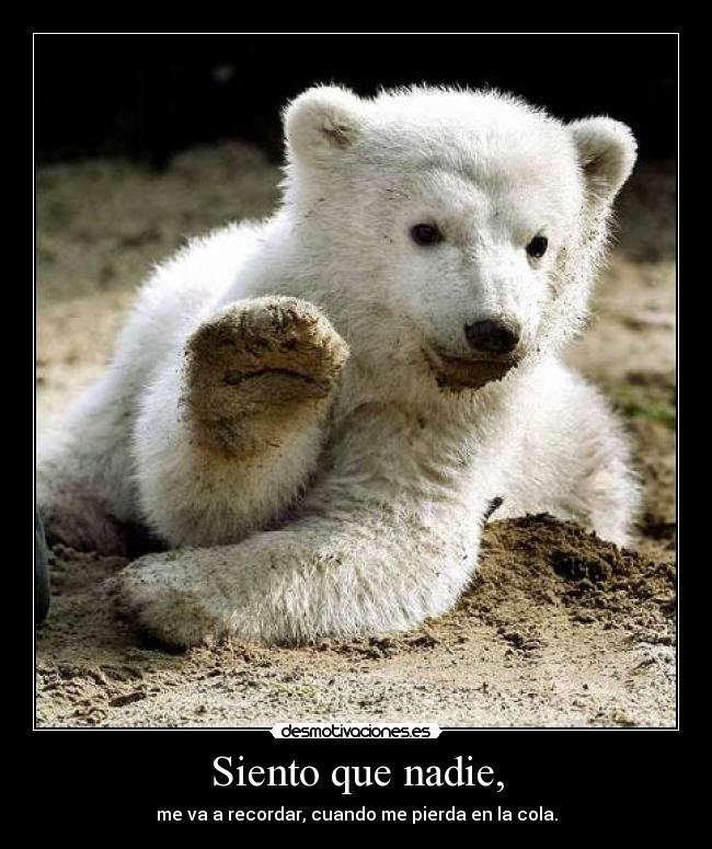 Siento que nadie, - me va a recordar, cuando me pierda en la cola.