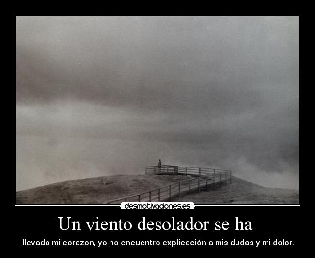 Un viento desolador se ha - llevado mi corazon, yo no encuentro explicación a mis dudas y mi dolor.