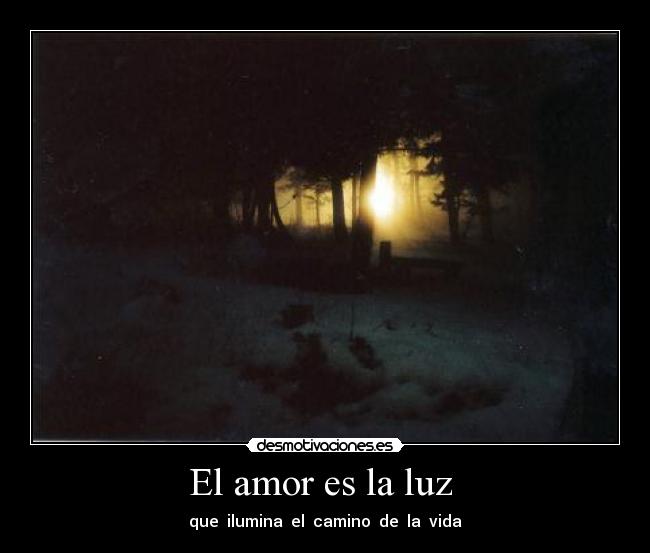 El amor es la luz - que ilumina el camino de la vida