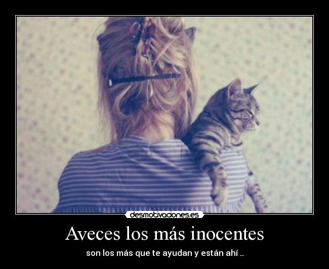 carteles j12 desmotivaciones