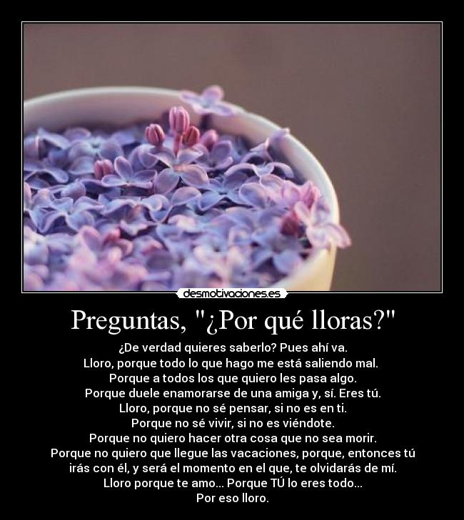 carteles porque amo desmotivaciones