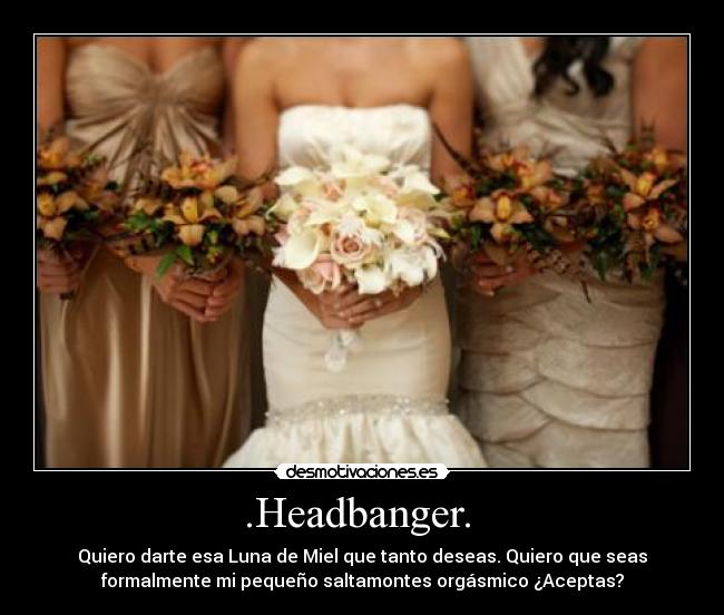 .Headbanger.  - Quiero darte esa Luna de Miel que tanto deseas. Quiero que seas
formalmente mi pequeño saltamontes orgásmico ¿Aceptas?