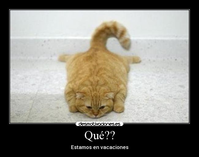 Qué?? - Estamos en vacaciones