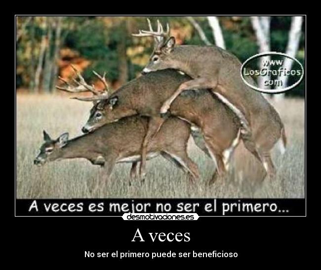 carteles wild life primero vencedor triunfador paciente desmotivaciones