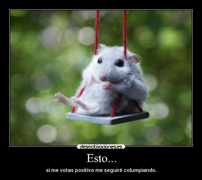 carteles hamster desmotivaciones