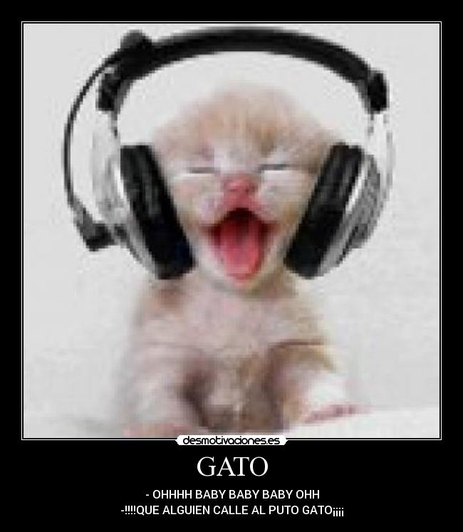 GATO -