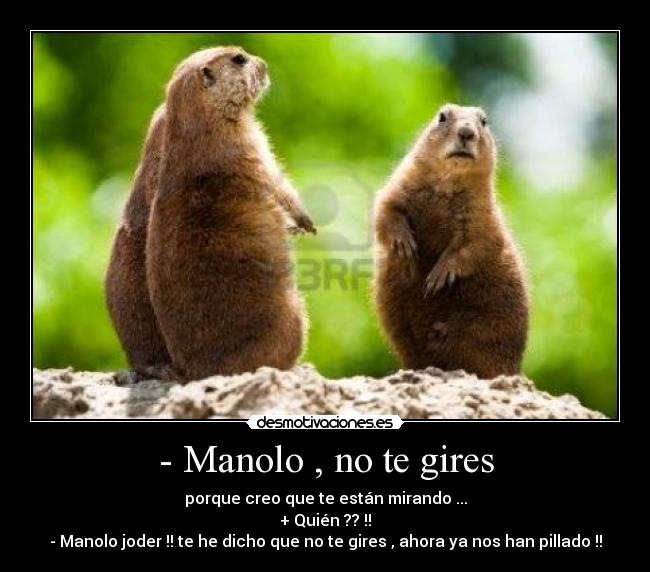 carteles desmotivaciones ardillas desmotivaciones