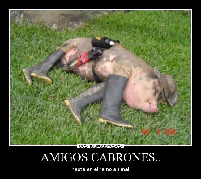 AMIGOS CABRONES.. -