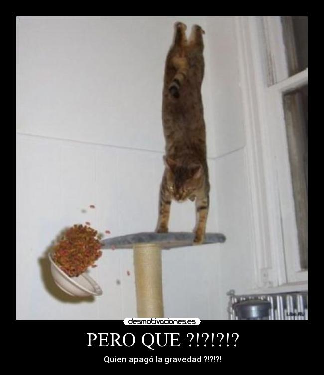 PERO QUE ?!?!?!? - 