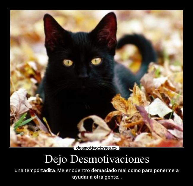Dejo Desmotivaciones - 