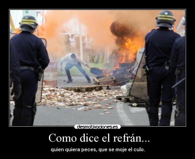 Como dice el refrán... -