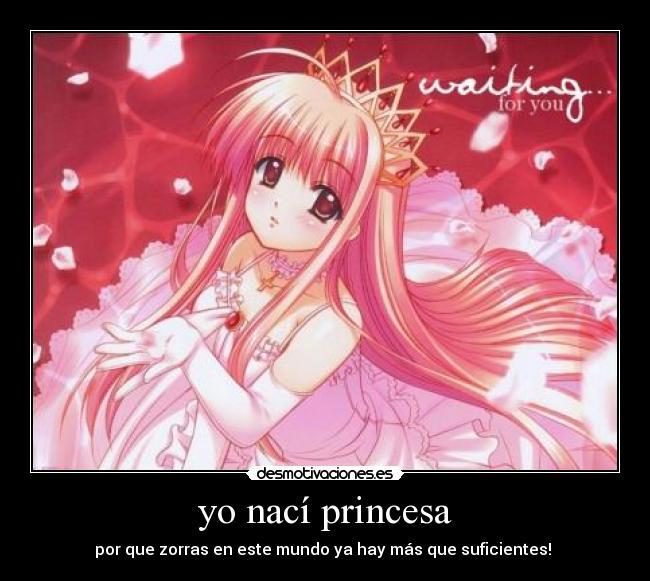 yo nací princesa - por que zorras en este mundo ya hay más que suficientes!