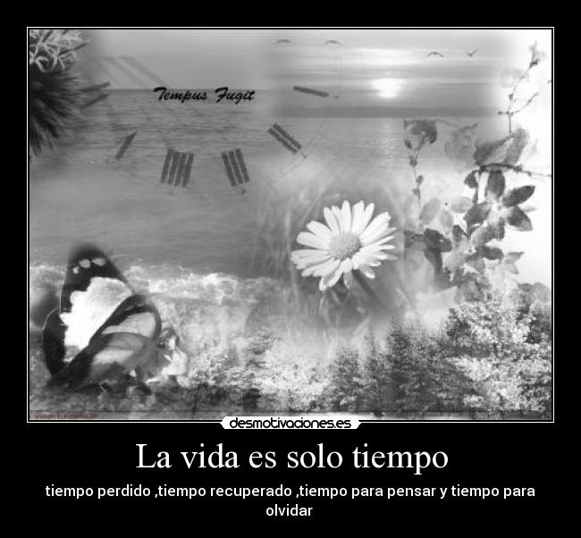La vida es solo tiempo - 