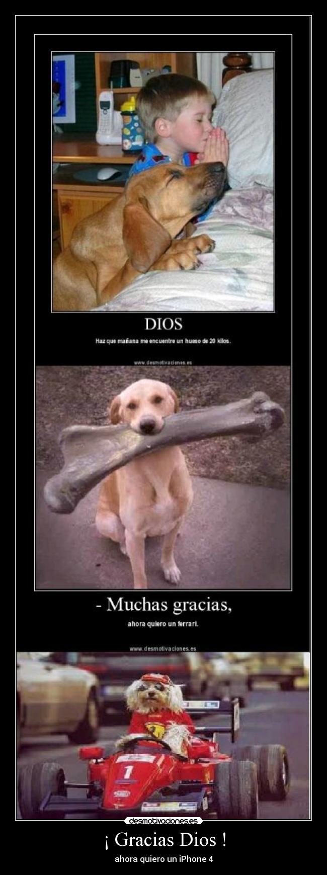 ¡ Gracias Dios ! -