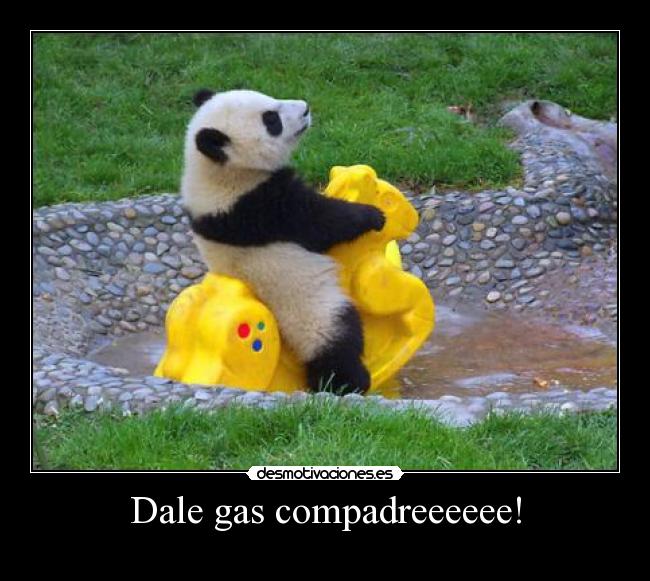 Dale gas compadreeeeee! - 