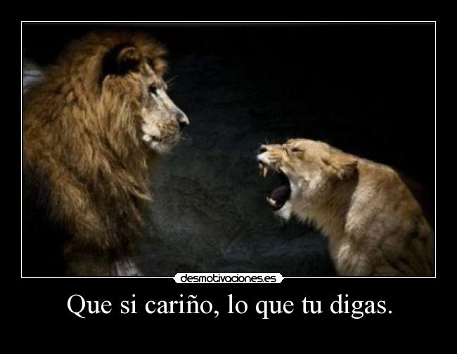 Que si cariño, lo que tu digas. -