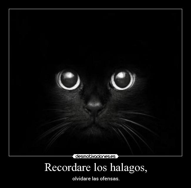 Recordare los halagos, - olvidare las ofensas.