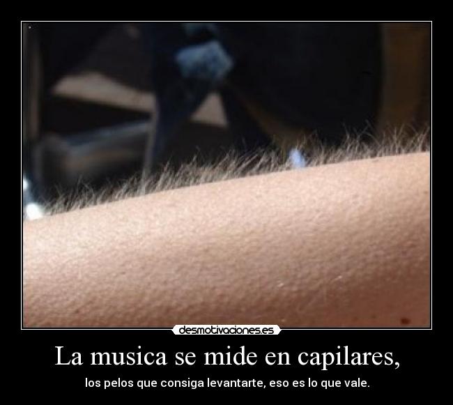 La musica se mide en capilares, - los pelos que consiga levantarte, eso es lo que vale.