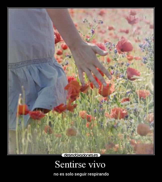 Sentirse vivo -