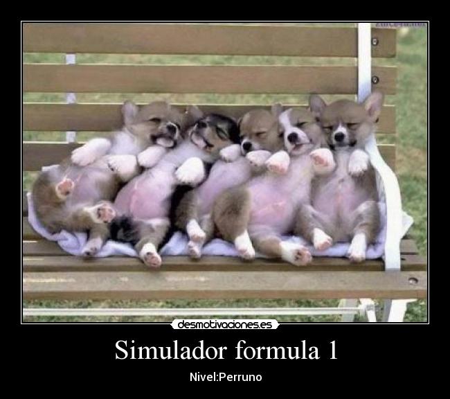 Simulador formula 1 - Nivel:Perruno