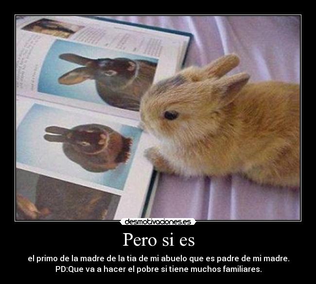 Pero si es - el primo de la madre de la tia de mi abuelo que es padre de mi madre.
PD:Que va a hacer el pobre si tiene muchos familiares.