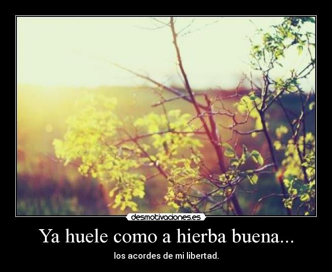 carteles huele como hierba buena desmotivaciones