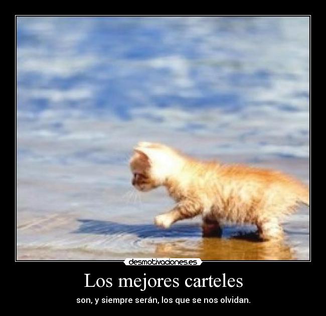 Los mejores carteles - 