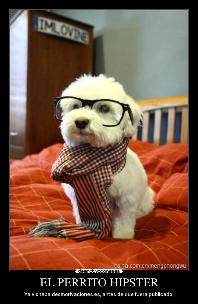 EL PERRITO HIPSTER -