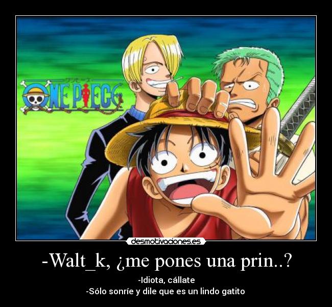 -Walt_k, ¿me pones una prin..? - -Idiota, cállate
-Sólo sonríe y dile que es un lindo gatito