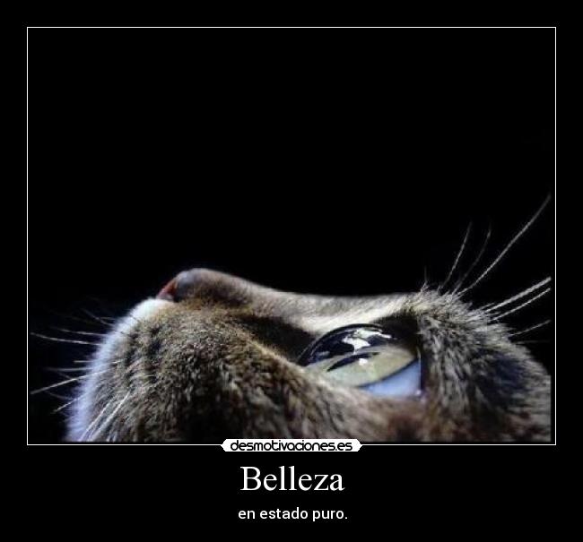 Belleza -