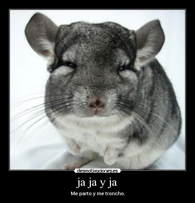 ja ja y ja - Me parto y me troncho.