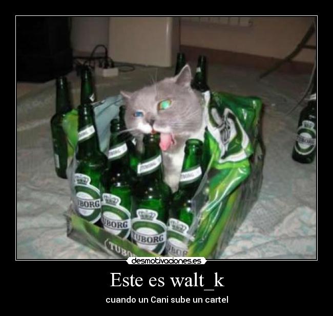 Este es walt_k - 
