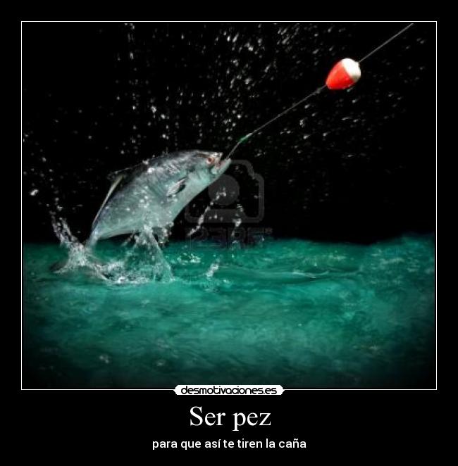 Ser pez - para que así te tiren la caña