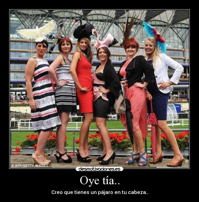 Oye tía.. - Creo que tienes un pájaro en tu cabeza..