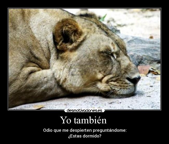 carteles yotambienyo tanbienestas dormidoodio que despierten preguntandome desmotivaciones