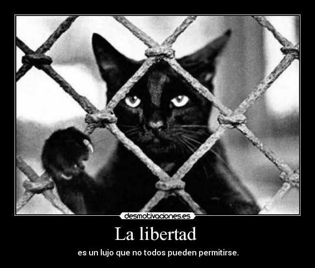 carteles libertad libertad desmotivaciones