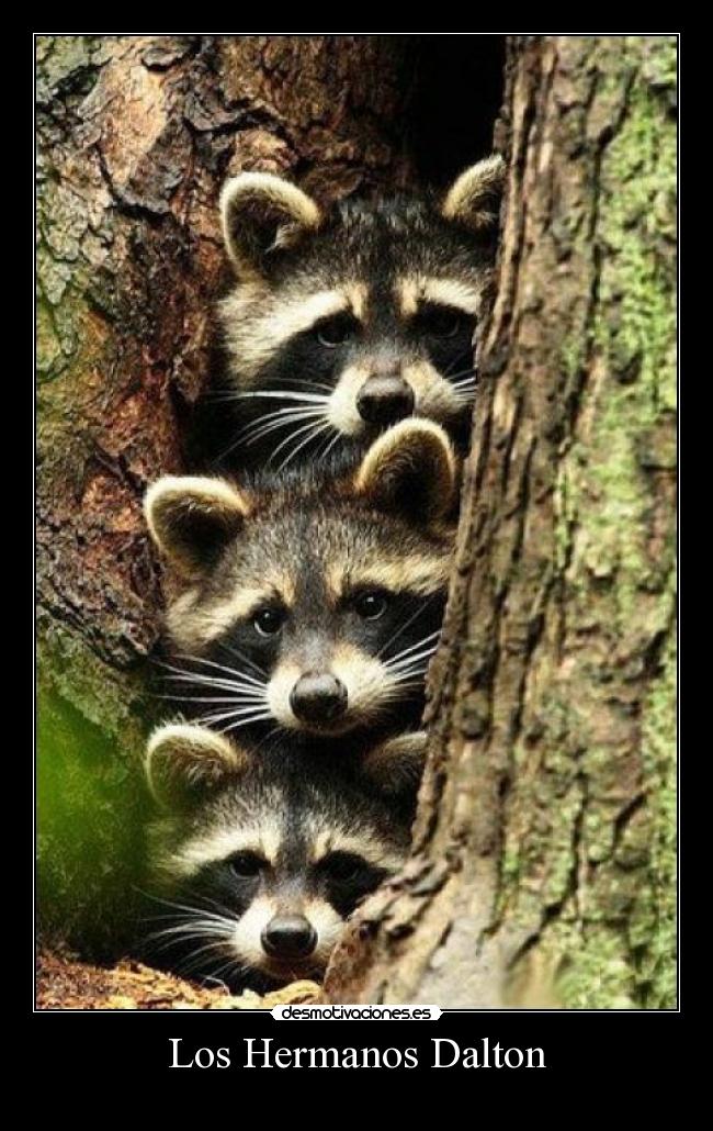 Los Hermanos Dalton -