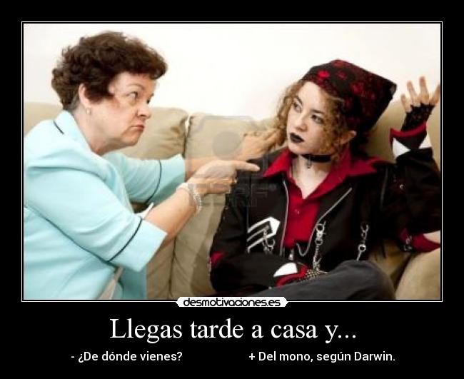Llegas tarde a casa y... - - ¿De dónde vienes? + Del mono, según Darwin.