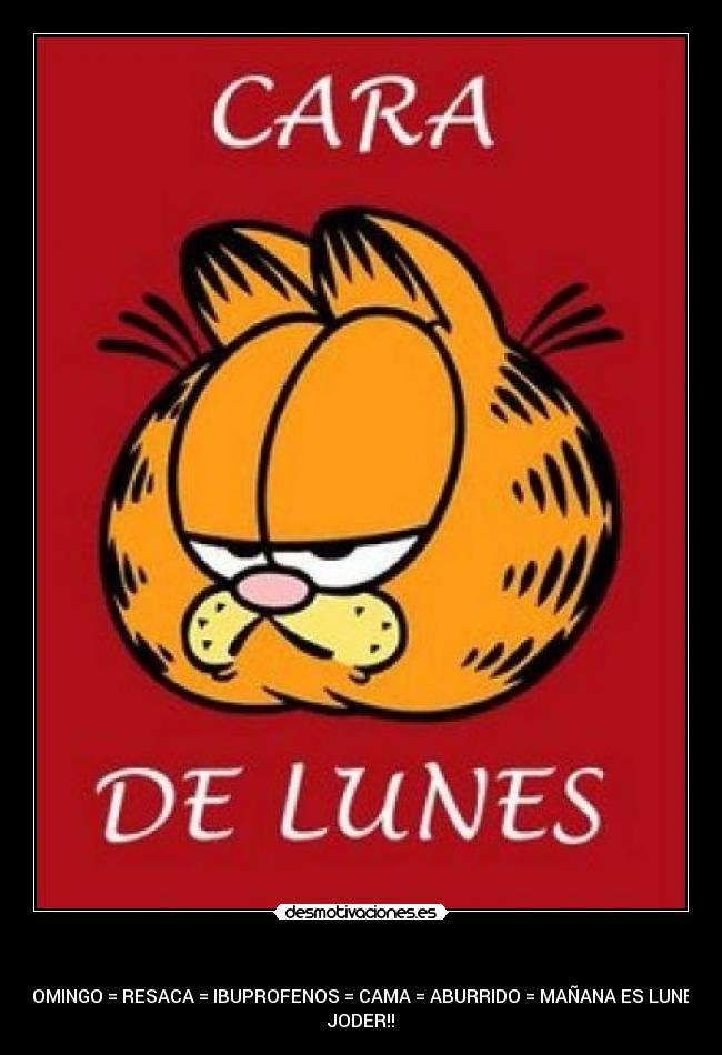    - DOMINGO = RESACA = IBUPROFENOS = CAMA = ABURRIDO = MAÑANA ES LUNES
JODER!!