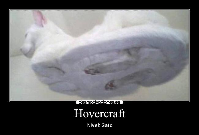 Hovercraft - 