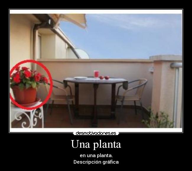 Una planta - en una planta.
Descripción gráfica