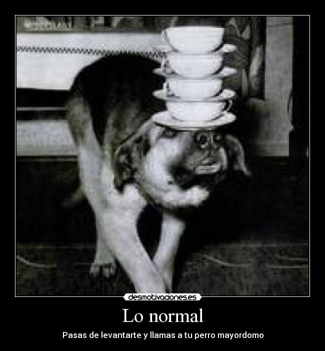 Lo normal - 