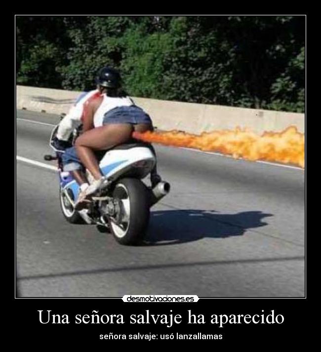 Una señora salvaje ha aparecido - señora salvaje: usó lanzallamas
