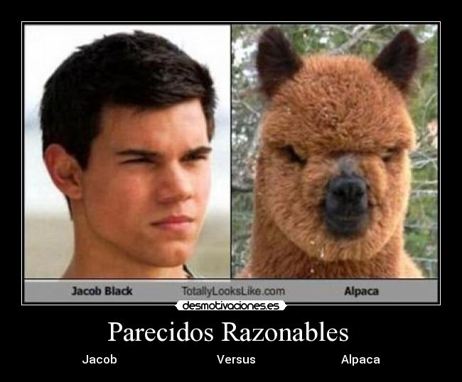 Parecidos Razonables  - 